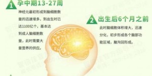 智倍佳藻油DHA—科学新配比，领航新选择！