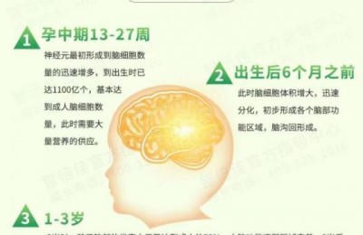 智倍佳藻油DHA—科学新配比，领航新选择！